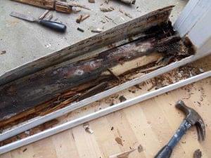 Featured image for rot_OPT-300x225.jpg