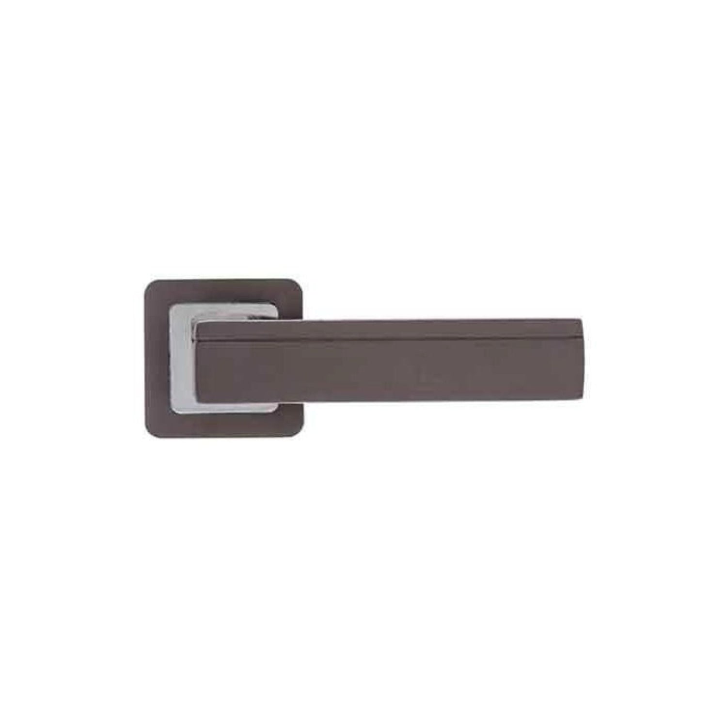 Invictus Door Lever