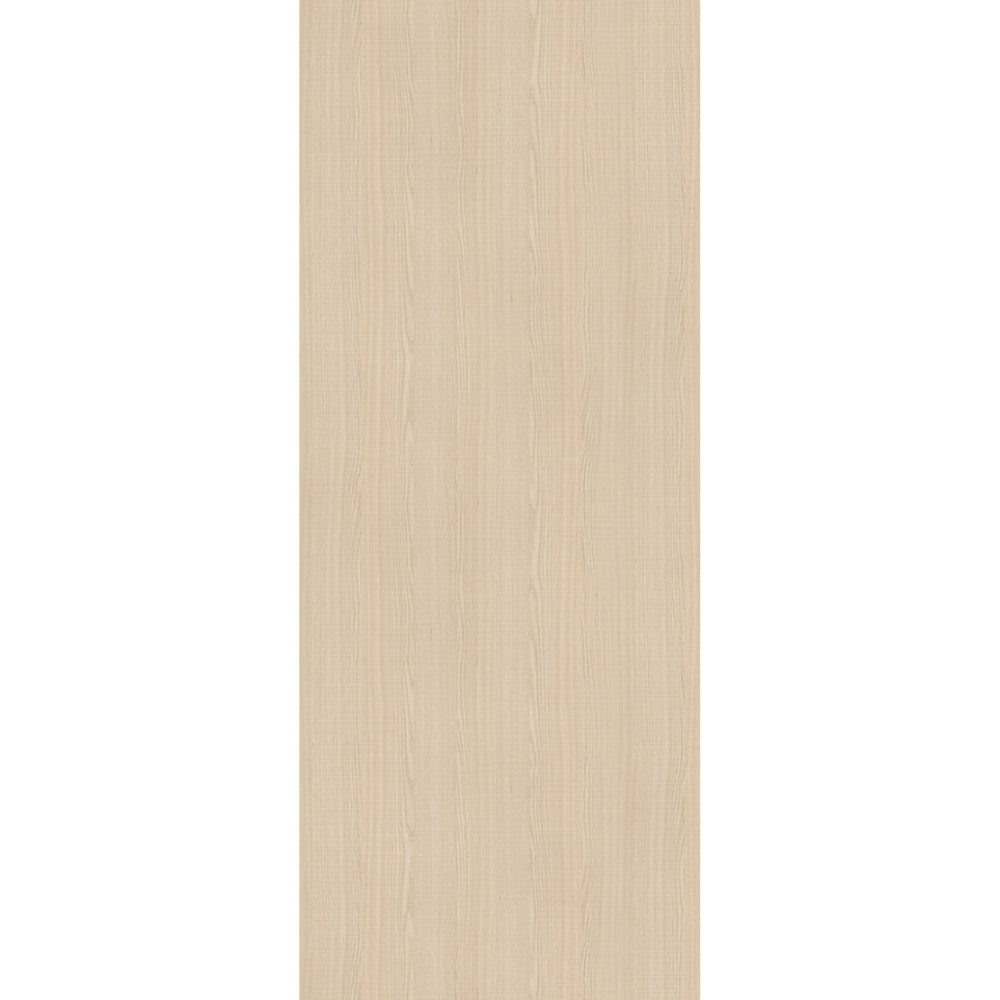 Product prefinished ash internal flush door on white background